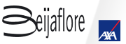 Logo Beijaflore